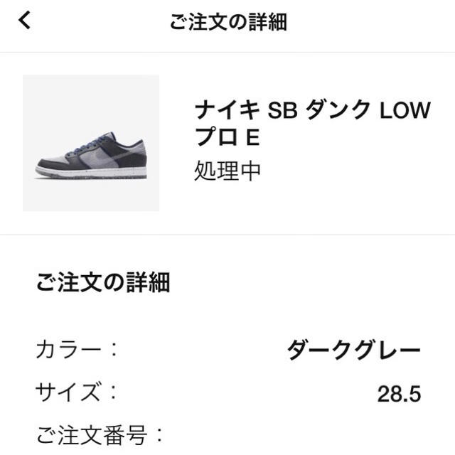 NIKE(ナイキ)のNIKE SB DUNK LOW PRO CRATER 28.5cm メンズの靴/シューズ(スニーカー)の商品写真