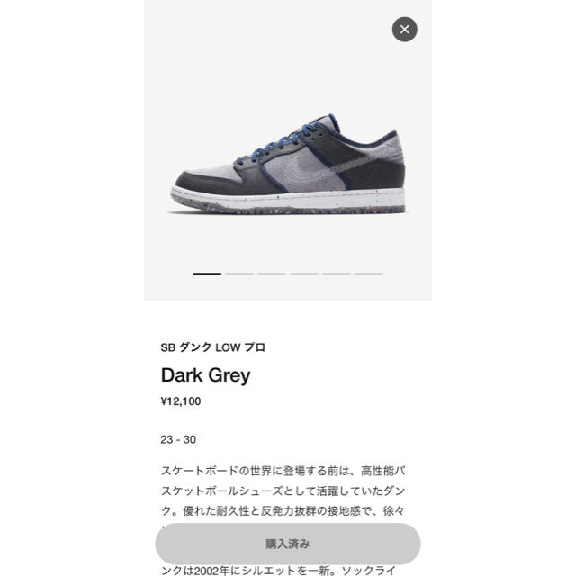 NIKE(ナイキ)のNIKE SB DUNK LOW PRO DARK GREY 26.0cm メンズの靴/シューズ(スニーカー)の商品写真