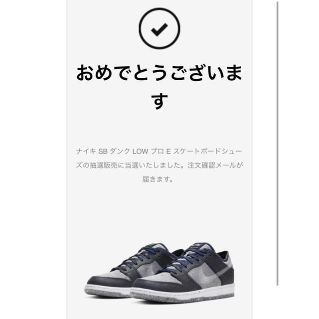 NIKE SB DUNK LOW PRO “DARK GREY” [25cm]