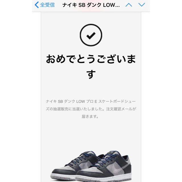 NIKE(ナイキ)のNIKE SB DUNK LOW PRO "DARK GREY" メンズの靴/シューズ(スニーカー)の商品写真