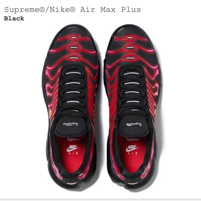 Supreme(シュプリーム)のSupreme®/Nike® Air Max Plus エアマックスプラス 24 レディースの靴/シューズ(スニーカー)の商品写真