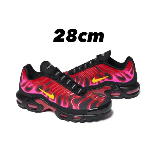 supreme NIKE AIR MAX plus   28cm