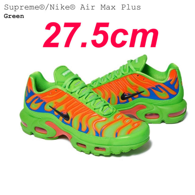 Supreme Nike Air Max Plus Green 27.5cm