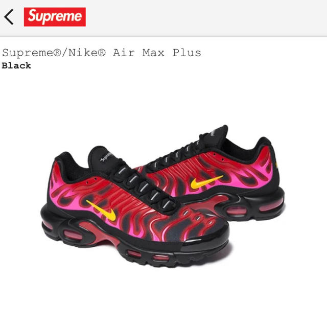 Supreme Nike Air Max Plus Black 28.5cm 1