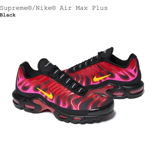 Supreme Nike Air Max Plus 27.5cm