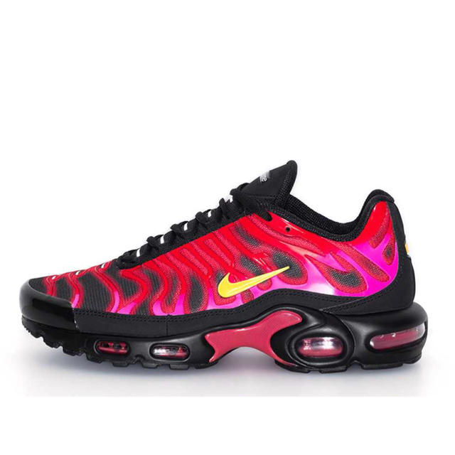 Supreme Nike Air Max Plus シュプリーム ナイキ