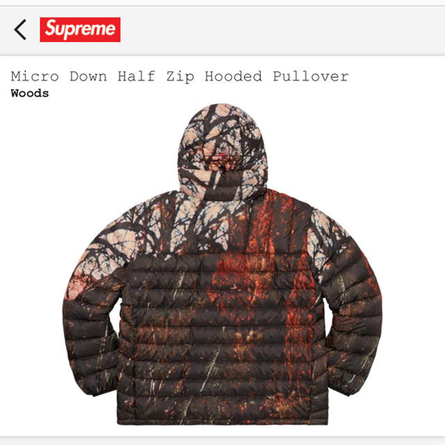 Supreme(シュプリーム)のMicro Down Half Zip Hooded Pullover  メンズのジャケット/アウター(ナイロンジャケット)の商品写真