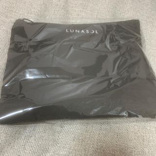 ルナソル(LUNASOL)のvoce10月号　ルナソルポーチ(ポーチ)