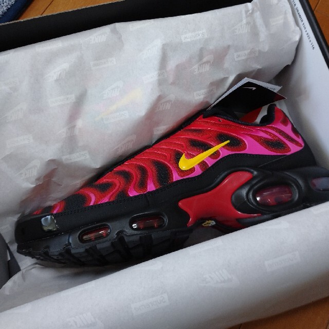 Supreme Nike Air Max Plus 1