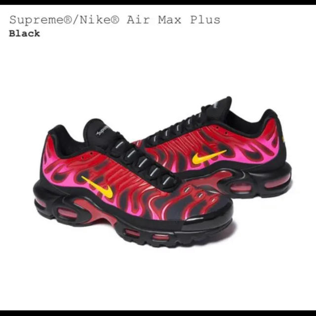 Supreme(シュプリーム)のSupreme Nike Air Max Plus シュプリーム ナイキ26.5 メンズの靴/シューズ(スニーカー)の商品写真