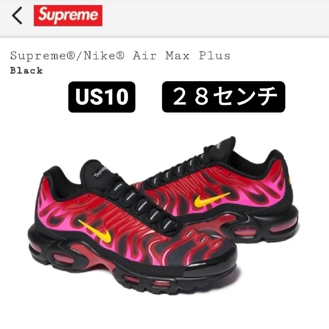 supreme  シュプリーム エアマックス ナイキ スニーカー 28 US10