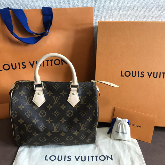 愛用 LOUIS VUITTON ハンドバッグ 日本で手に入らない❗️希少性が高く ...