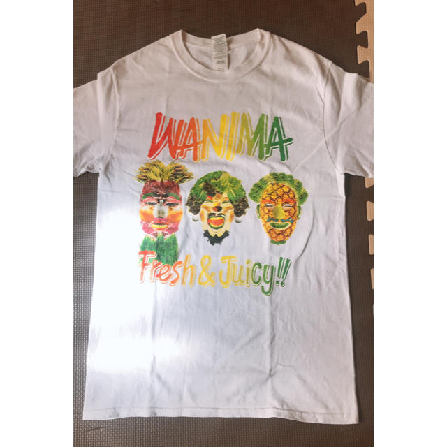 WANIMA(ワニマ)のWANIMA  ライブTシャツ レディースのトップス(Tシャツ(半袖/袖なし))の商品写真