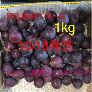 岡山県産　ピオーネ　家庭用　1kg  (フルーツ)