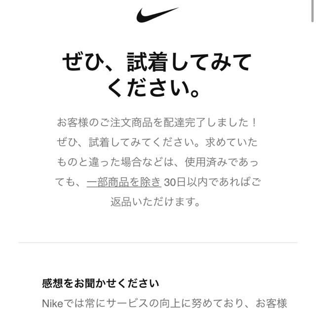 NIKE SB ダンク LOW プロ Dark Grey