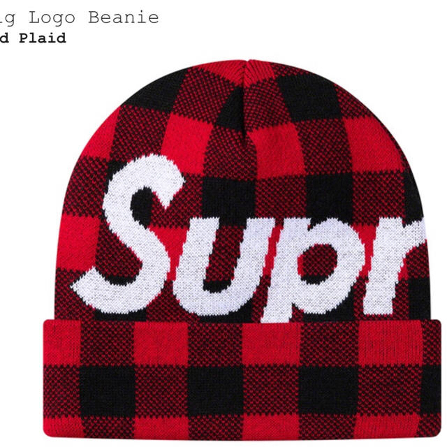 ニット帽/ビーニーbig logo beanie