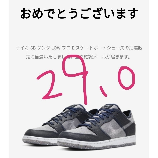 NIKE(ナイキ)のNIKE SB ダンク LOW プロ Dark Grey 29.0cm メンズの靴/シューズ(スニーカー)の商品写真