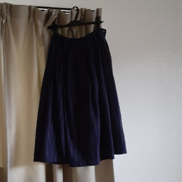 パラスパレススカート レディースのスカート(ロングスカート)の商品写真