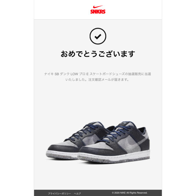 NIKE SB DUNK LOW PRO DARK GREY 26.0cm