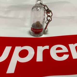 シュプリーム(Supreme)のシュプリーム　キーホルダー　サボテン(キーホルダー)