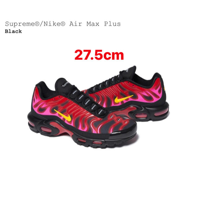 Supreme Nike Air Max Plus us9.5