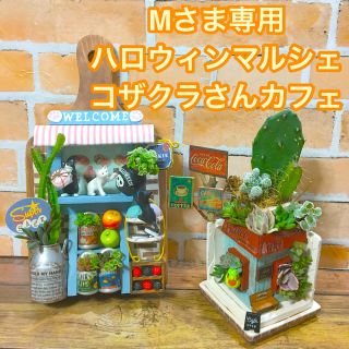 Mさま専用　多肉植物の寄せ植え壁掛けバージョン(ハロウィンマルシェ)(その他)