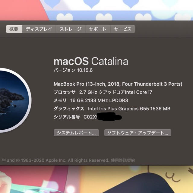 Mac (Apple)(マック)のMacBook Pro 2018 I7 16G 1T スマホ/家電/カメラのPC/タブレット(ノートPC)の商品写真