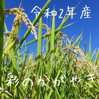 令和2年埼玉県産　新米　彩のかがやき900g(米/穀物)