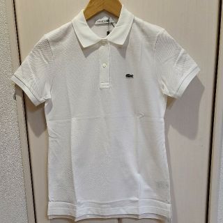 ラコステ(LACOSTE)のラコステ　LACOSTE　ポロシャツ　３６(ポロシャツ)