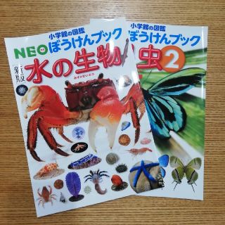 ショウガクカン(小学館)の小学館Neo　図鑑　小学生　冒険　ハンドブック　理科　学習　教育　問題解決型(語学/参考書)