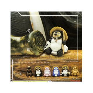 キタンクラブ　座る狸　６種コンプリート　ガチャガチャ(その他)