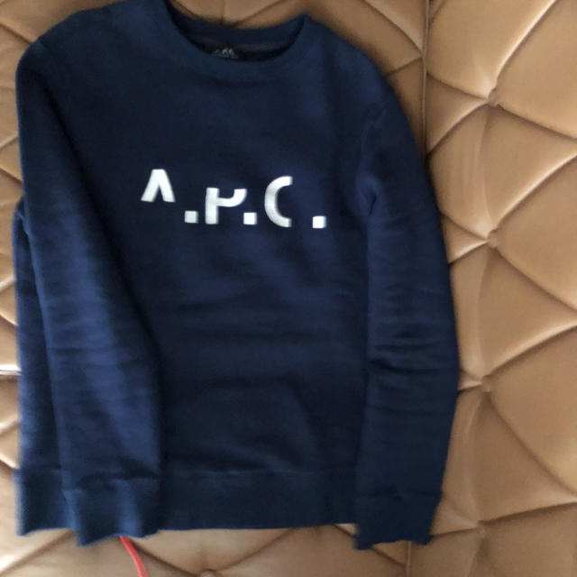 A.P.C(アーペーセー)の美品　APC スウェット　アペセ　トレーナー　パタゴニア　ノースフェイス メンズのトップス(スウェット)の商品写真