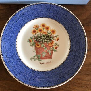 ウェッジウッド(WEDGWOOD)の新品未使用　ウェッジウッド　プレート　21㎝(食器)