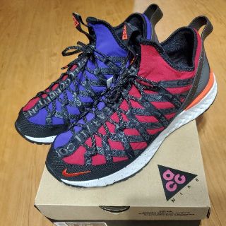 ナイキ(NIKE)のナイキ NIKE ACG リアクト テラ ゴービー 新品 スニーカー 27.5(スニーカー)