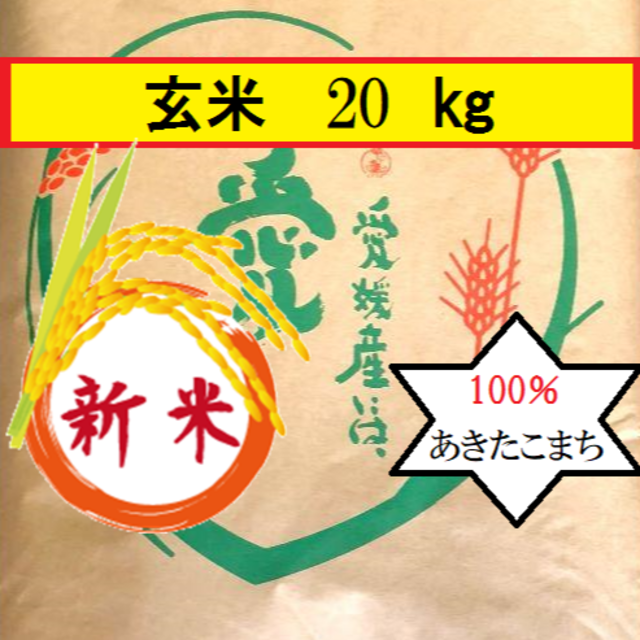 お米　令和2年　愛媛県産あきたこまち 玄米　20kg食品