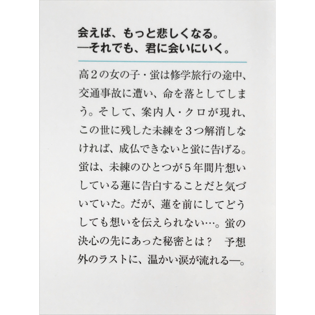 天国までの４９日間／いつか、眠りにつく日 エンタメ/ホビーの本(文学/小説)の商品写真