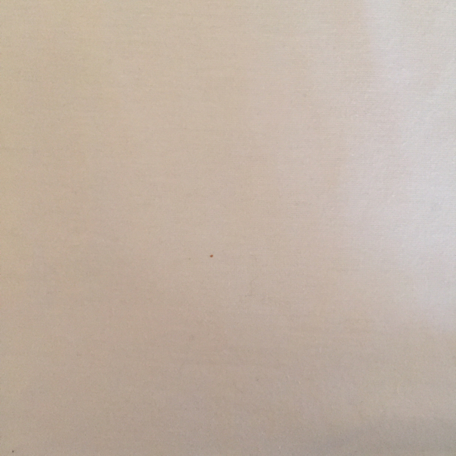 nitca(ニトカ)のnitca 半袖カットソー 白 レディースのトップス(Tシャツ(半袖/袖なし))の商品写真
