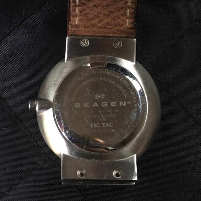 SKAGEN(スカーゲン)の【中古】SKAGEN(スカーゲン)/ライトグリーン メンズの時計(腕時計(アナログ))の商品写真