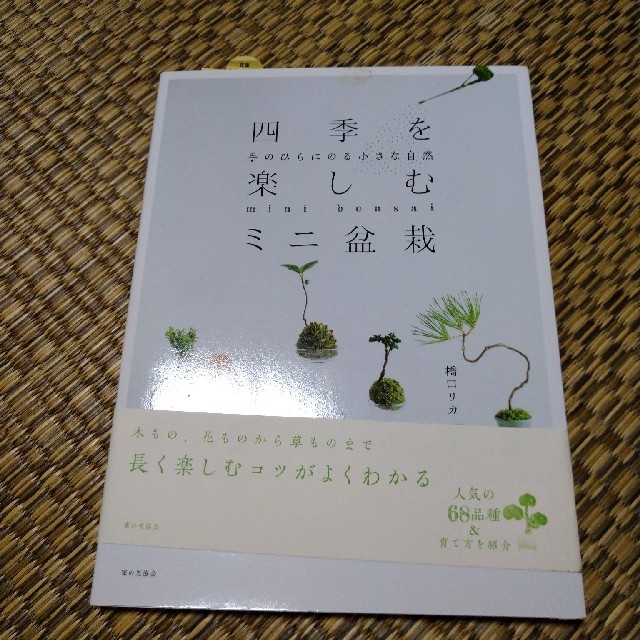ミニ盆栽　本 エンタメ/ホビーの本(趣味/スポーツ/実用)の商品写真