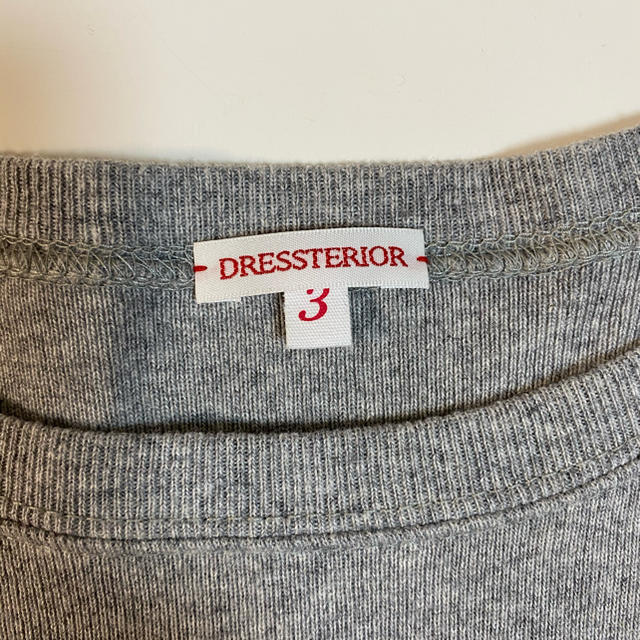 DRESSTERIOR(ドレステリア)のDRESSTERIOR  プルオーバー　L レディースのトップス(トレーナー/スウェット)の商品写真