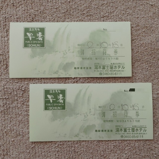 湯本富士屋ホテル　入浴券２枚［期限：2021/4/15］ チケットの施設利用券(その他)の商品写真
