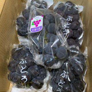 広島県産　種なしピオーネ／2kg【10/19発送予定】(フルーツ)