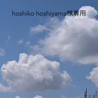 イルビゾンテ(IL BISONTE)のhoshiko hoshiyama様専用(リュック/バックパック)