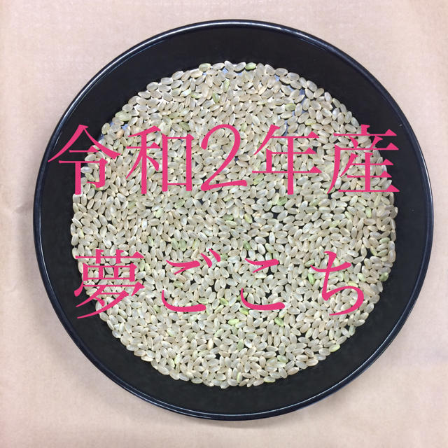 新米入荷!令和2年産「特別栽培米夢ごこち玄米」玄米30㎏ すぐ 新米入荷!令和2年産「特別栽培米夢ごこち玄米」玄米30㎏ すぐ