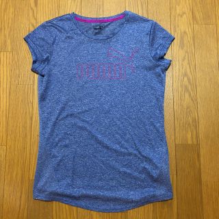 プーマ(PUMA)のプーマ/レディース　トレーニングウェア Tシャツ(ウェア)