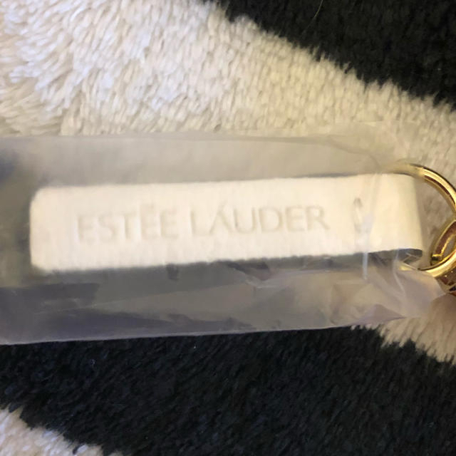 Estee Lauder(エスティローダー)のEstee Lauderエスティローダー☆合皮ポーチ レディースのファッション小物(ポーチ)の商品写真