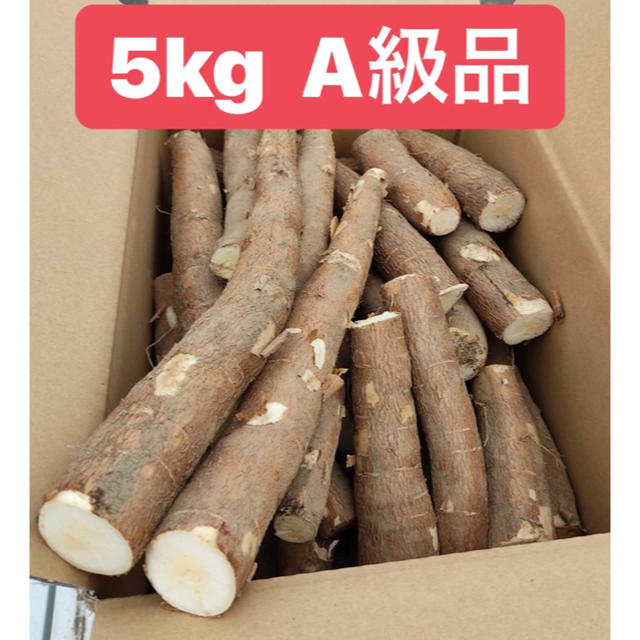 キャッサバ　5kg A級品 食品/飲料/酒の食品(野菜)の商品写真