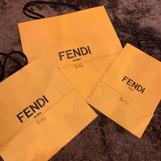 FENDI(フェンディ)のFENDI フェンディ ショッパー   新品 未使用 3枚セット レディースのバッグ(ショップ袋)の商品写真