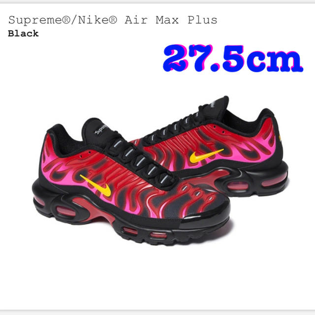 Supreme(シュプリーム)のSupreme/Nike Air Max Plus Black メンズの靴/シューズ(スニーカー)の商品写真