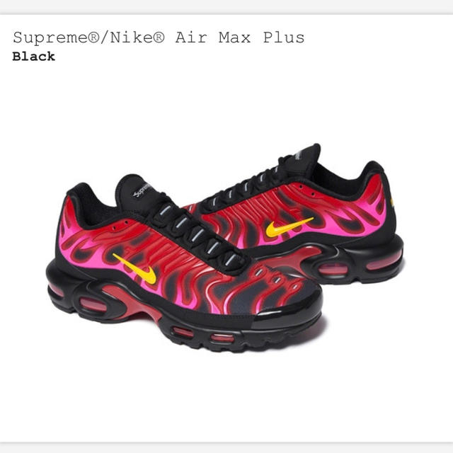 【即完売】Supreme / Nike Air Max Plus